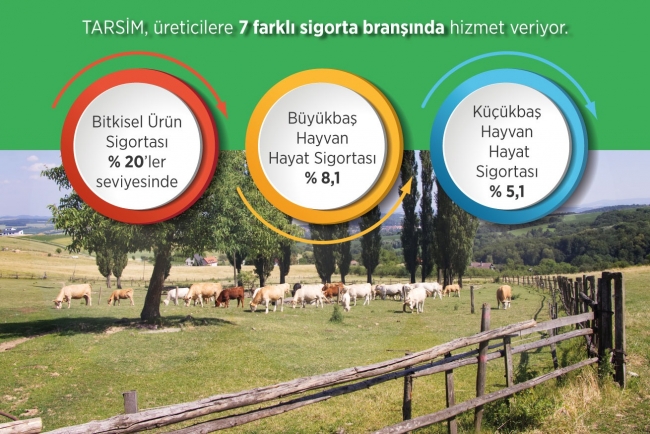 Küresel ısınmanın etkilerine karşı sigorta kalkanı